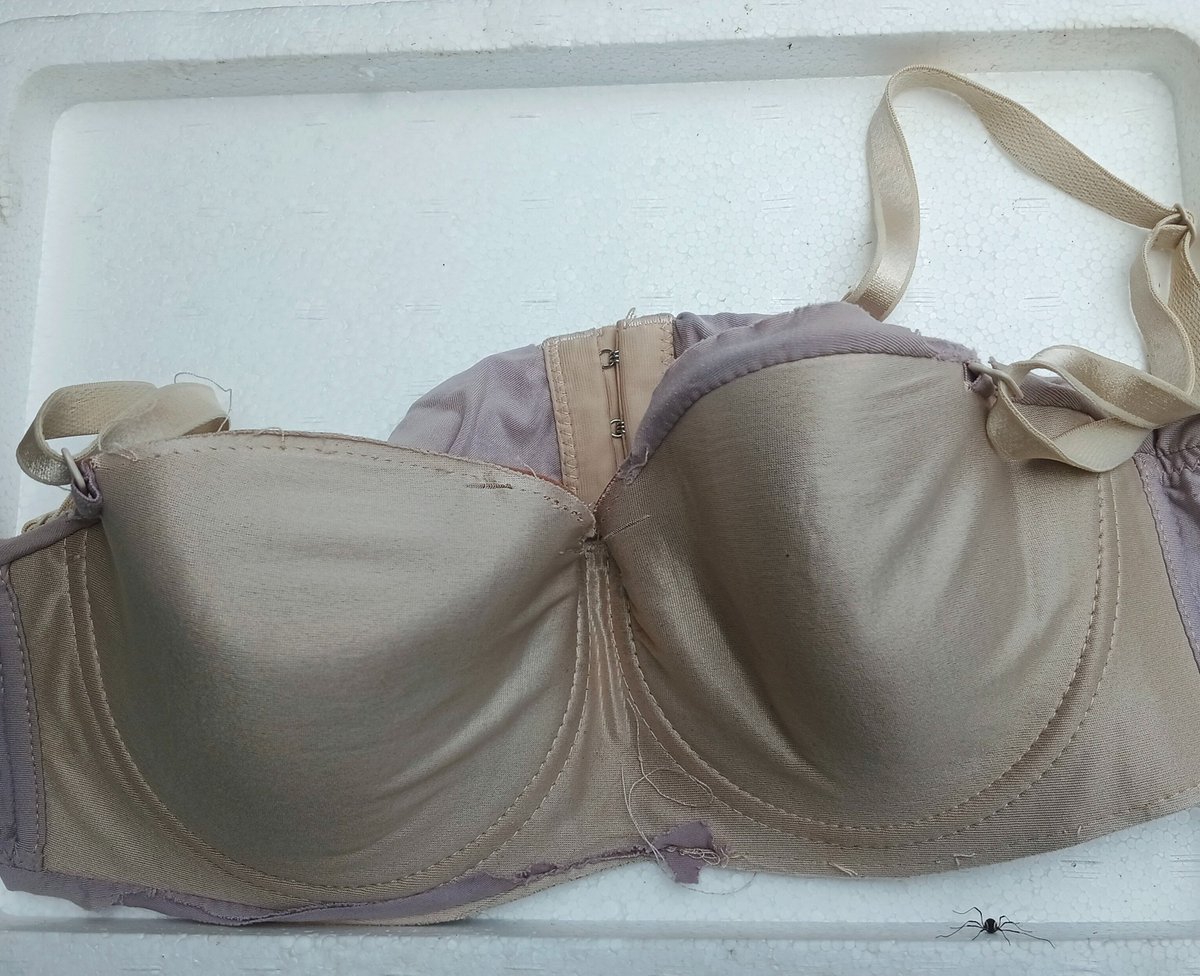 ชอบสาวใหญ่มากๆ tweet media