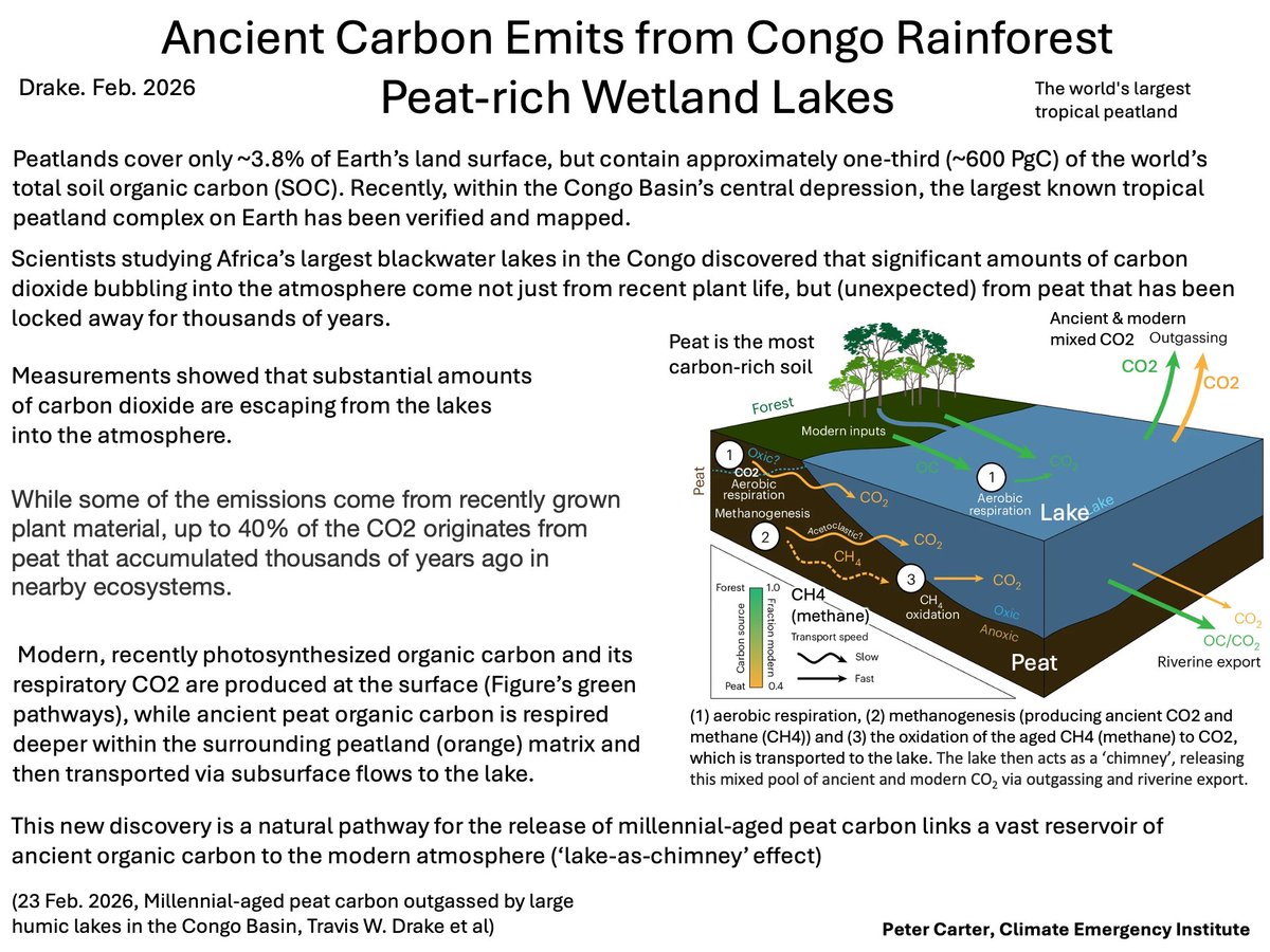 PCarterClimate's tweet image. CONGO RAINFOREST PEATLAND EMITTING ANCIENT CARBON
Lakes in the world's largest tropical peatland, are emitting ancient carbon containing CO2, an unexpected amplifying feedback process . 
Drake, Feb. 2026 nature.com/articles/s4156…   #CO2  #climatechange #globalwarming