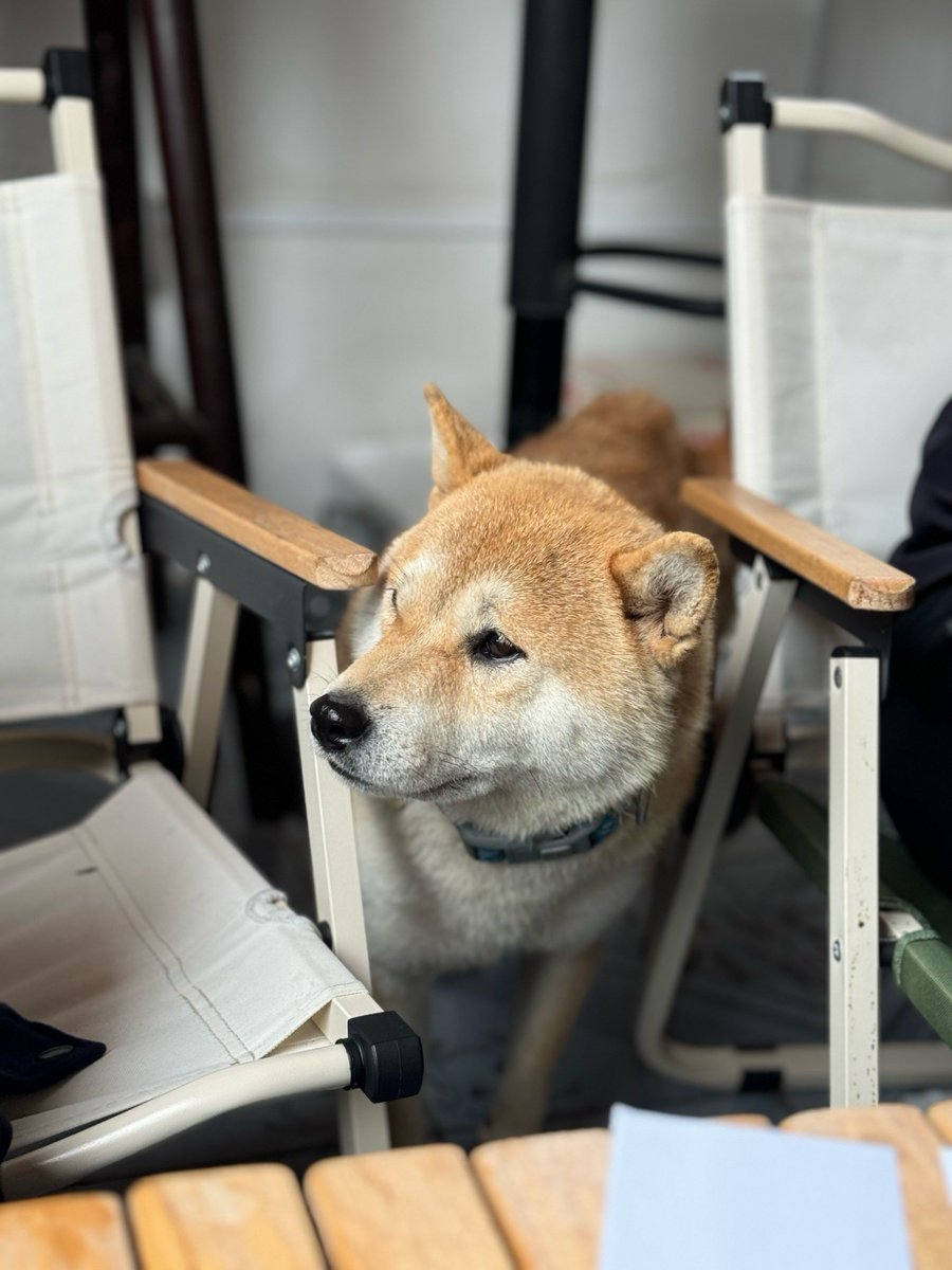 Дарья Филистович tweet media