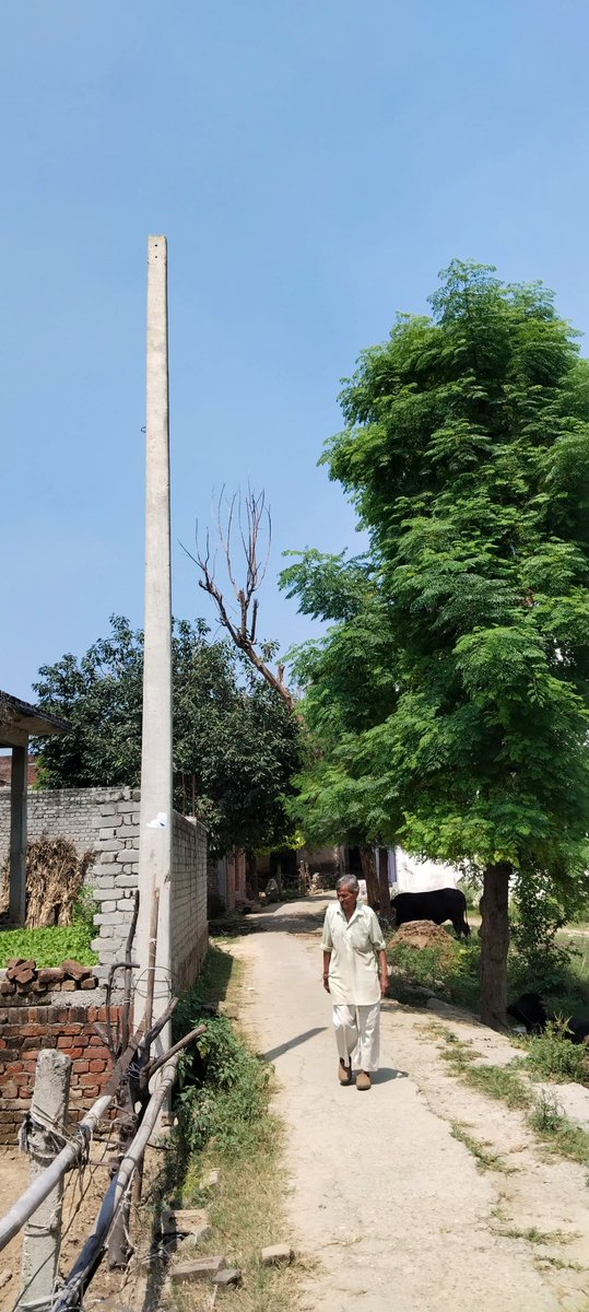 Rinkulo's tweet image. इस बार बीजेपी पार्टी को उत्तर प्रदेश से खत्म करने की सुपारी विद्युत विभाग ने ले रखी है पहले #RDSS योजना के अंतर्गत दो विद्युत पोल एसडीओ दयाशंकर द्वारा लगा दिए जाते हैं फिर 50-60 हजार रुपए की #रिश्वत नहीं मिलती है तो उखाड़ लिए जाते हैं @aksharmaBharat @myogiadityanath @EMofficeUP