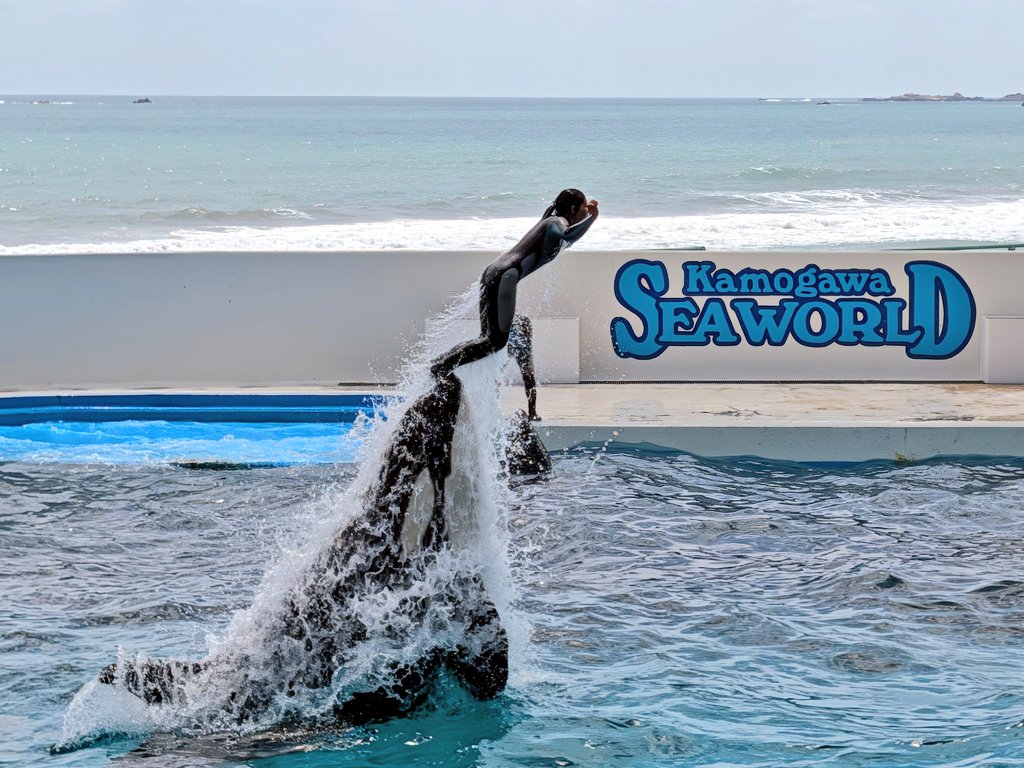 ちゃき♐ tweet media