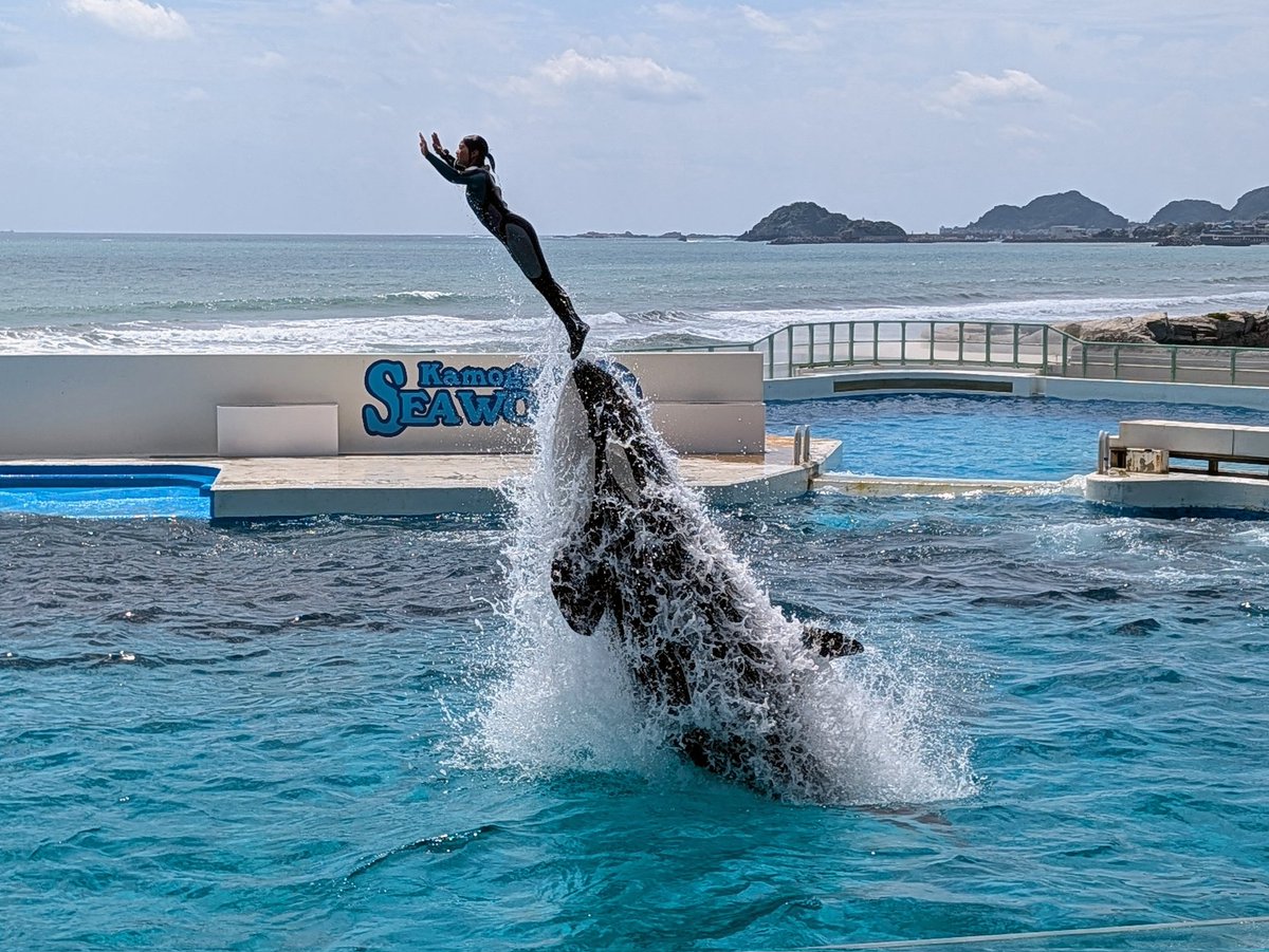 ちゃき♐ tweet media