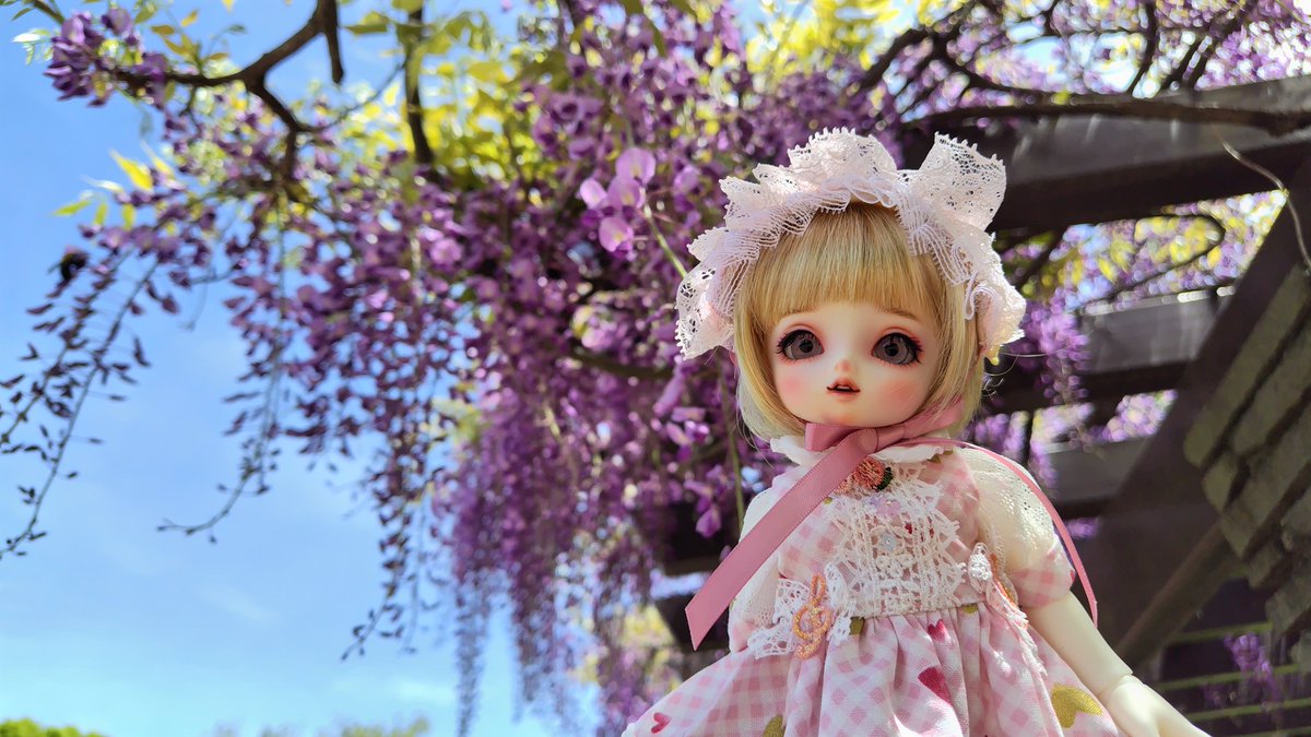 永久薔薇園🌹 tweet media
