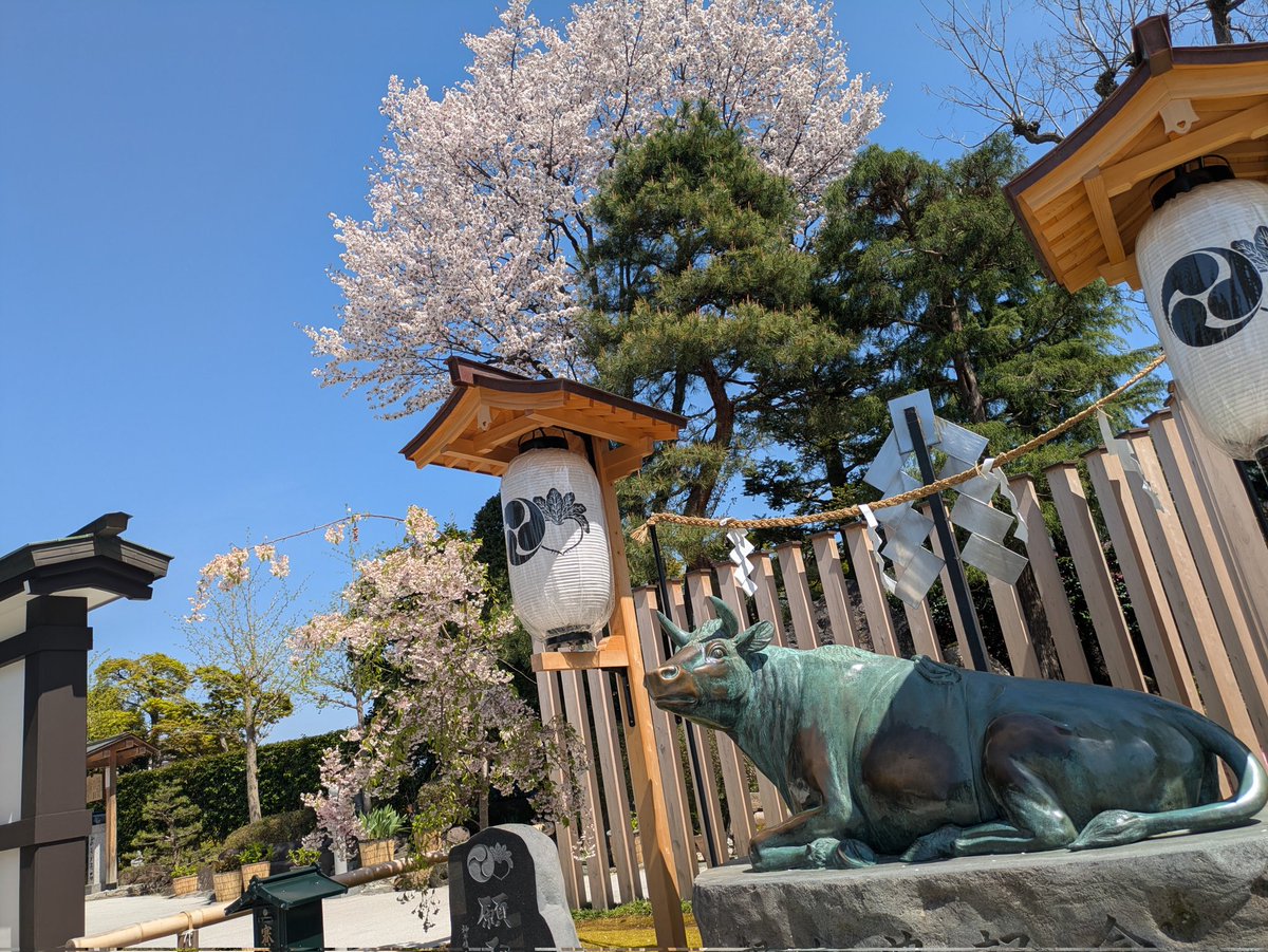 リなっち tweet media