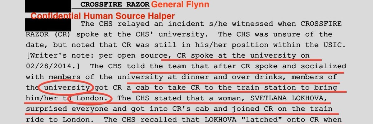 Svetlana Lokhova tweet media