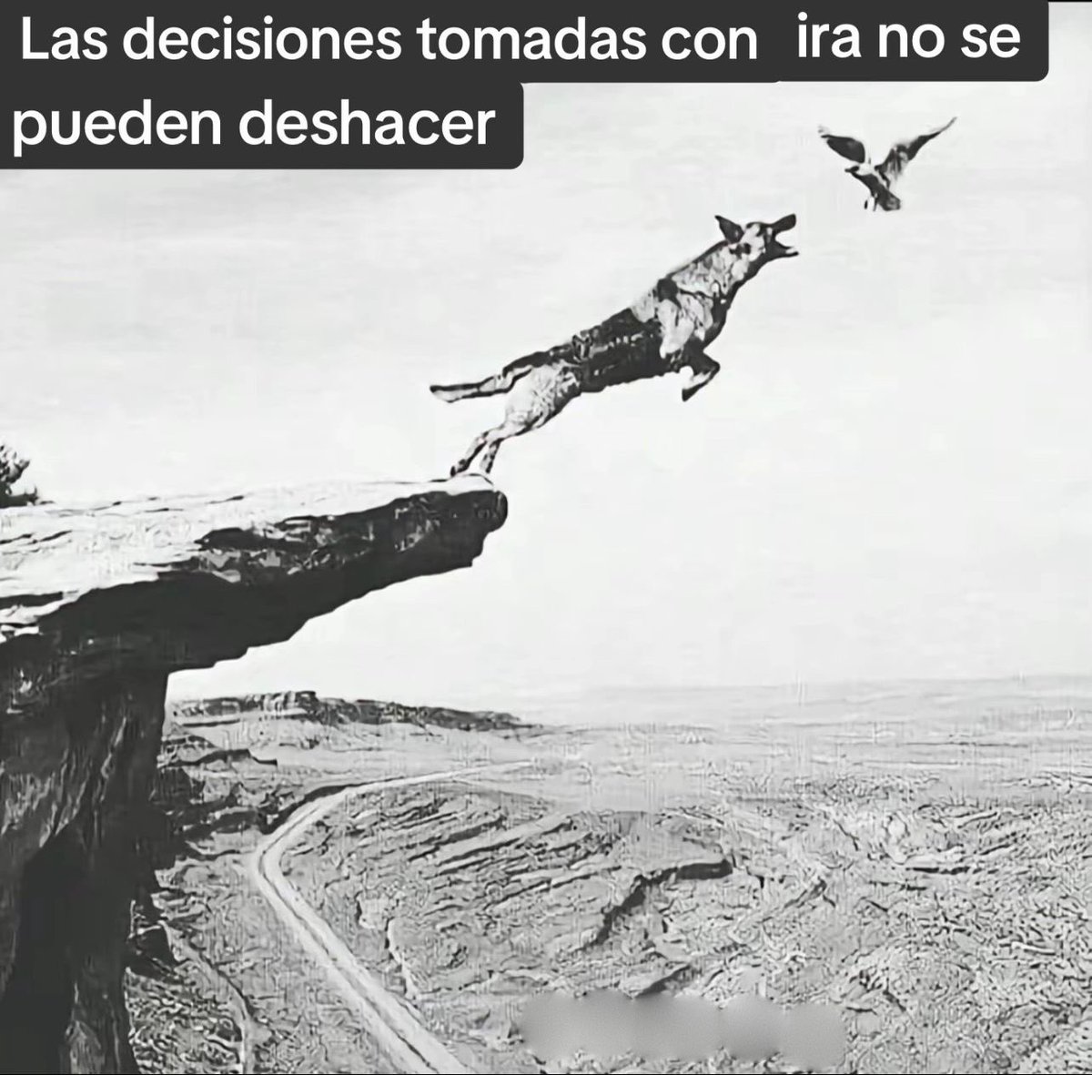 el Camg tweet media