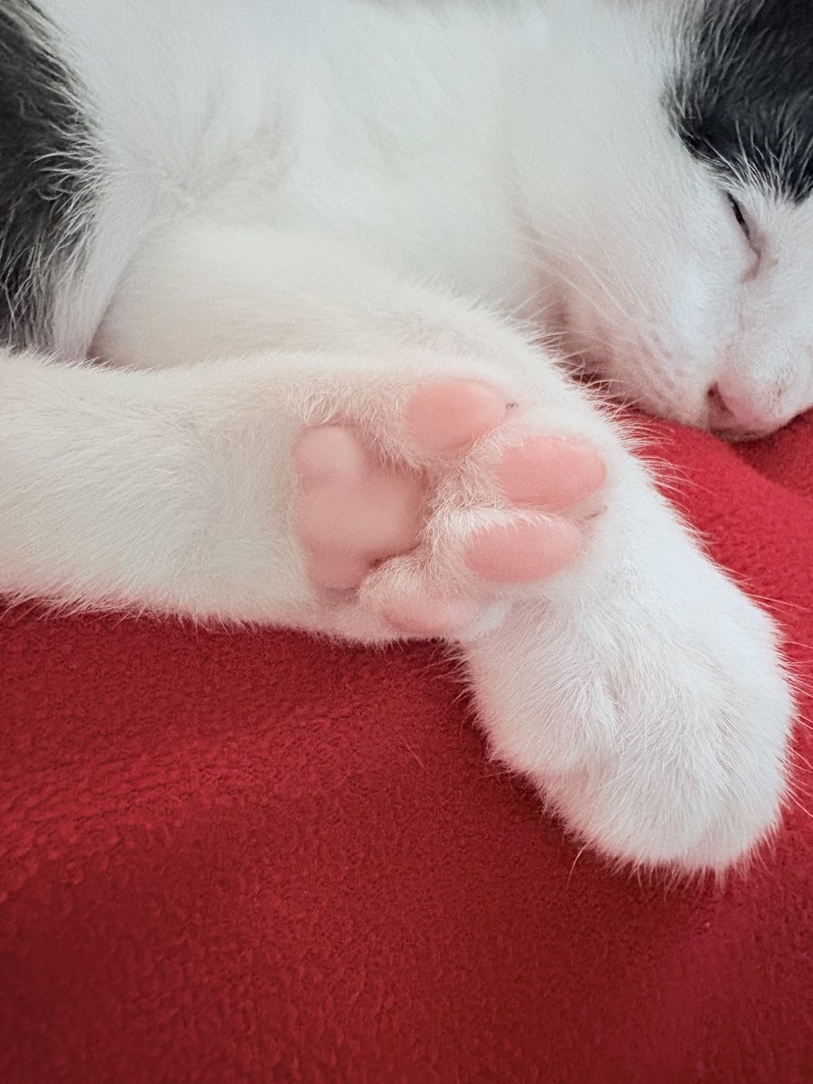 ม่อน 🚩ไม่น่ารัก tweet media