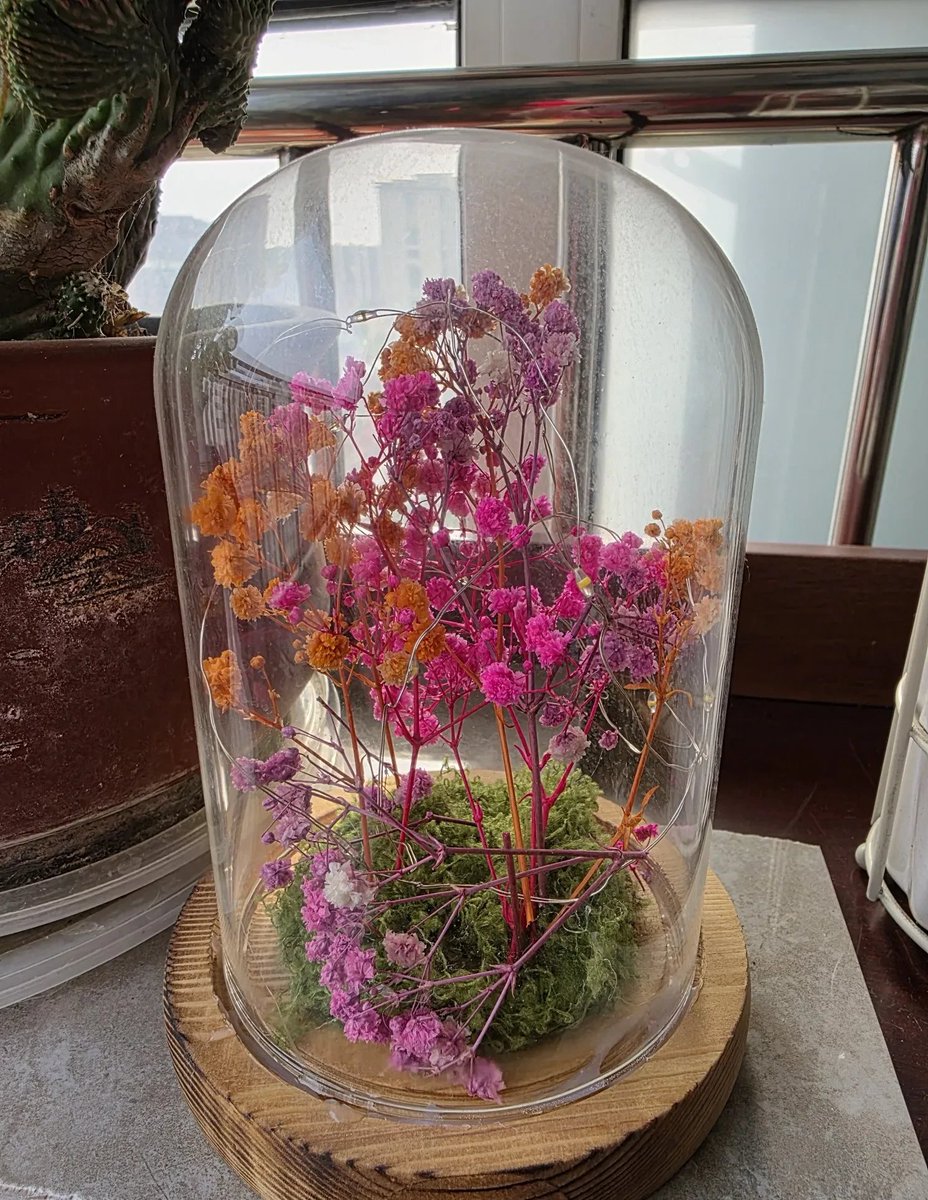 Arno van Hoorn tweet media