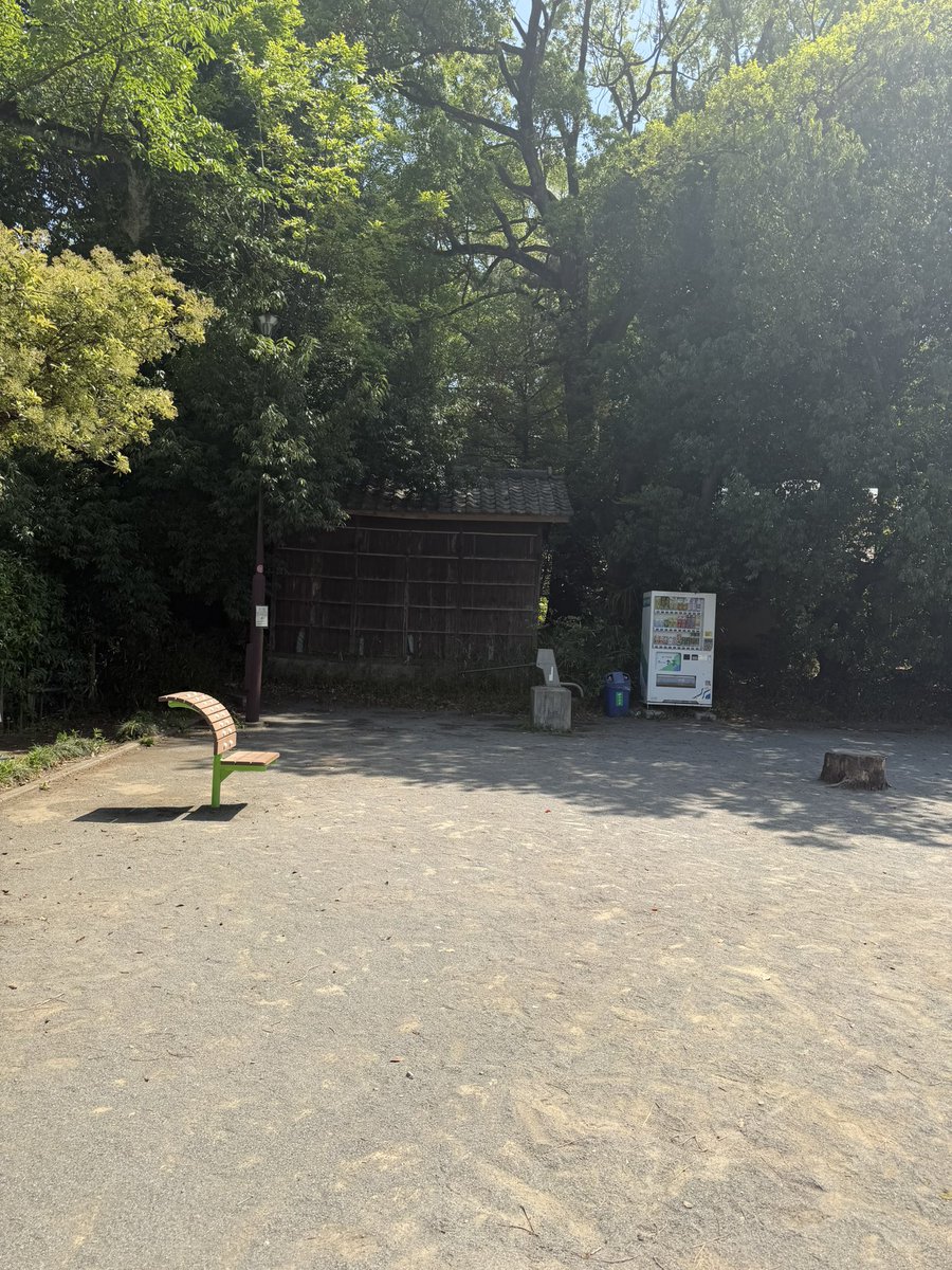 うみー/和室生まれ洋室育ち tweet media