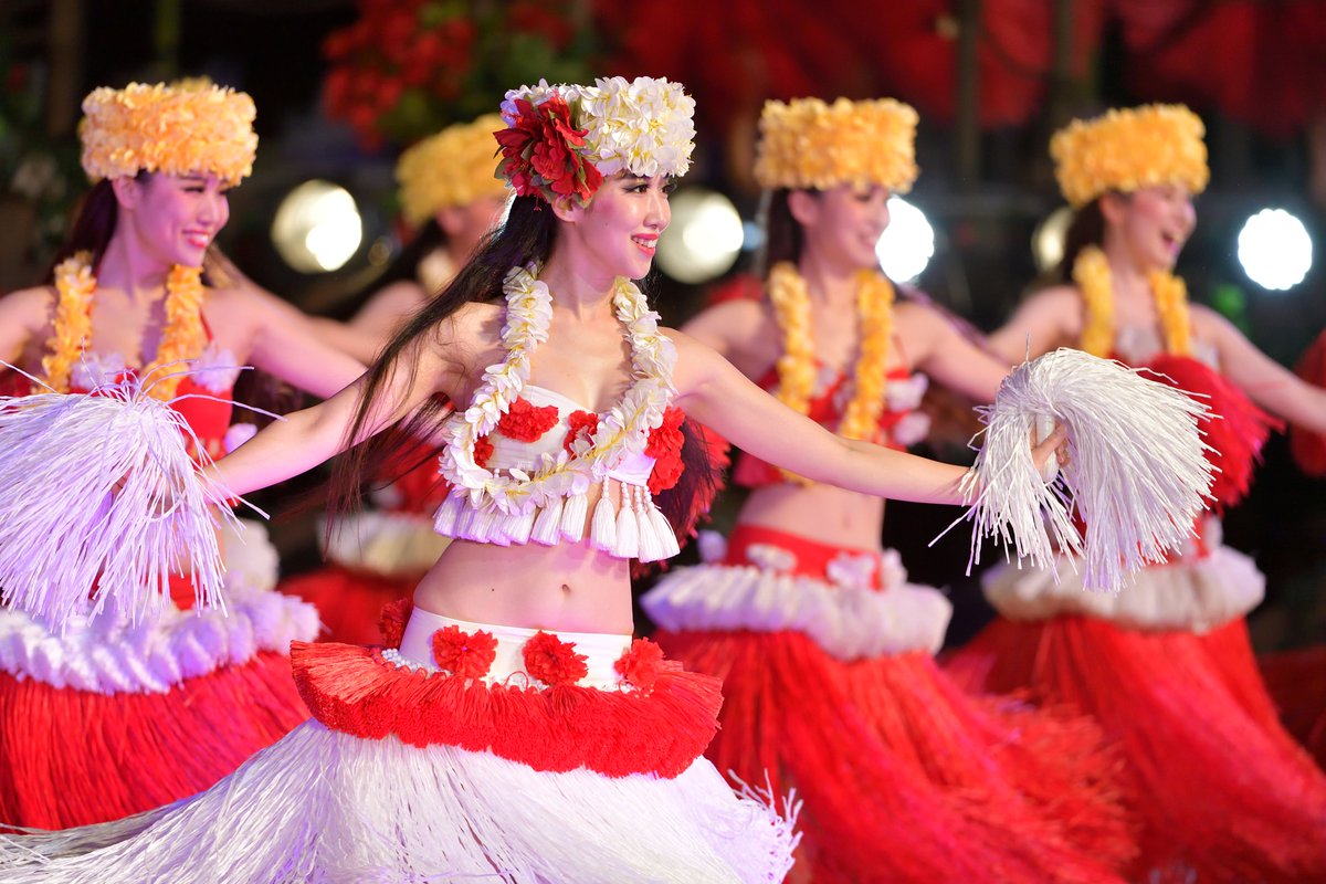 HIS旅プロ【公式】 tweet media