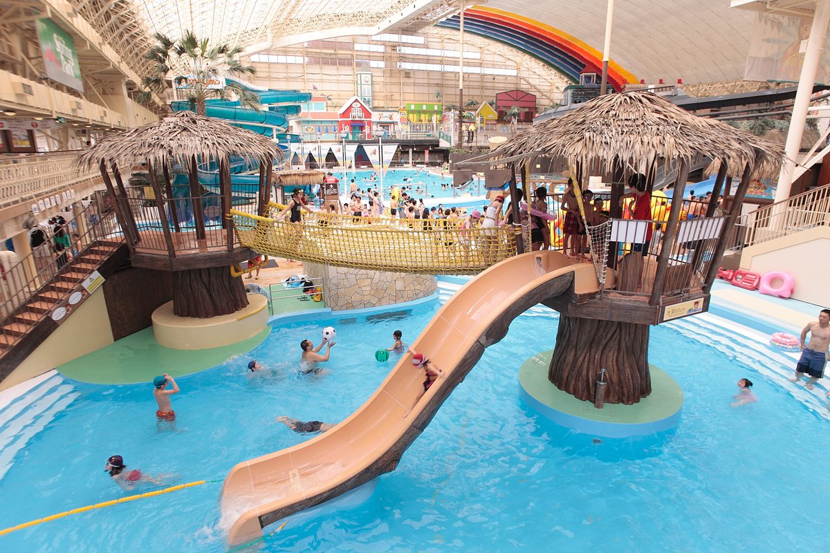 HIS旅プロ【公式】 tweet media