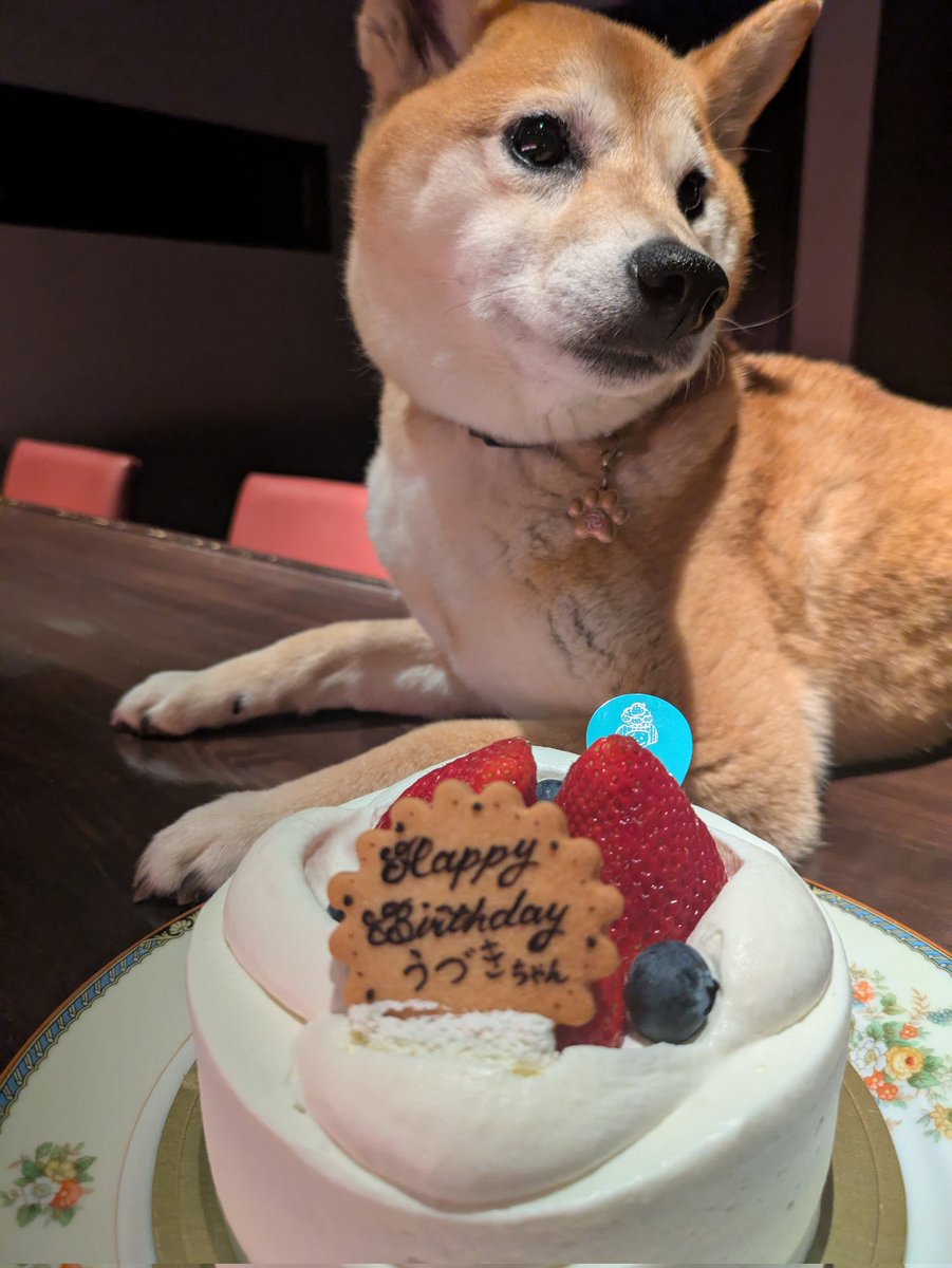 BAR 木蓮 tweet media