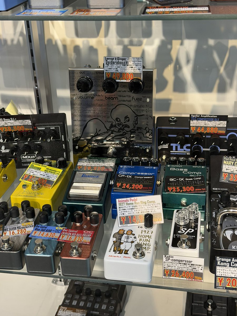 matsuo / Lemon & Ginger tweet media