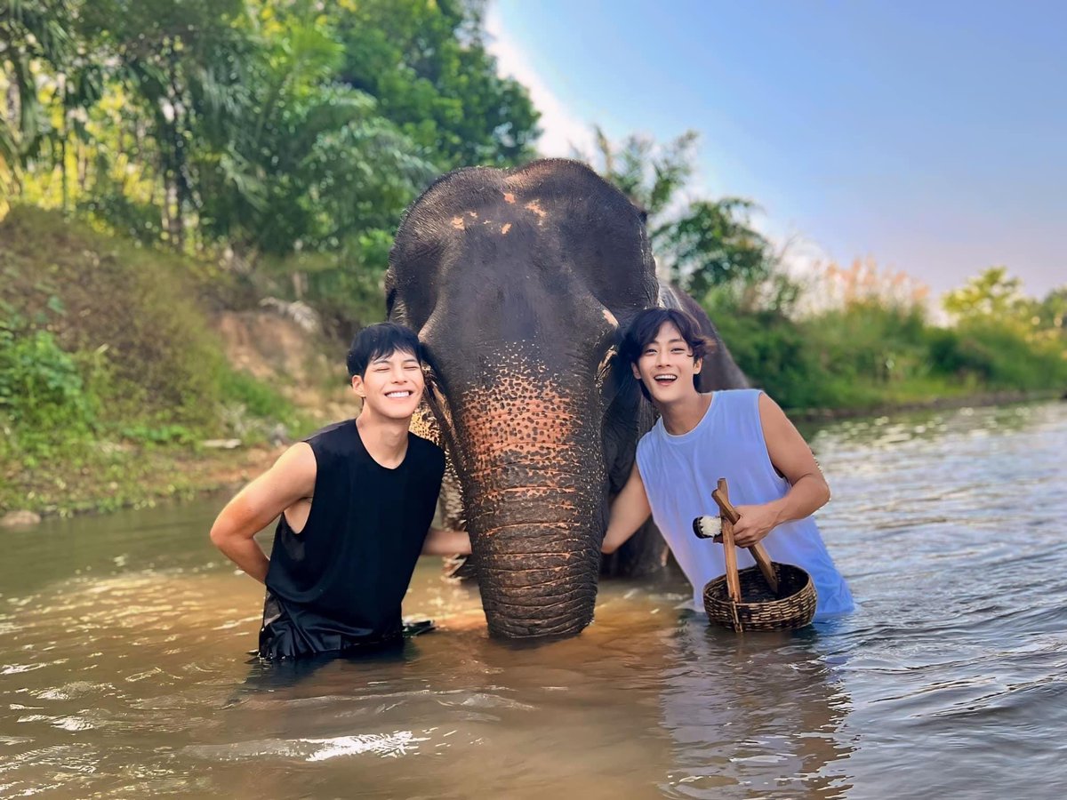 Fortune_kt tweet media