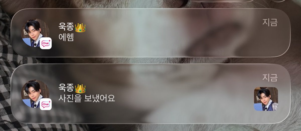 이렇게 와서 깜짝 놀랐어요