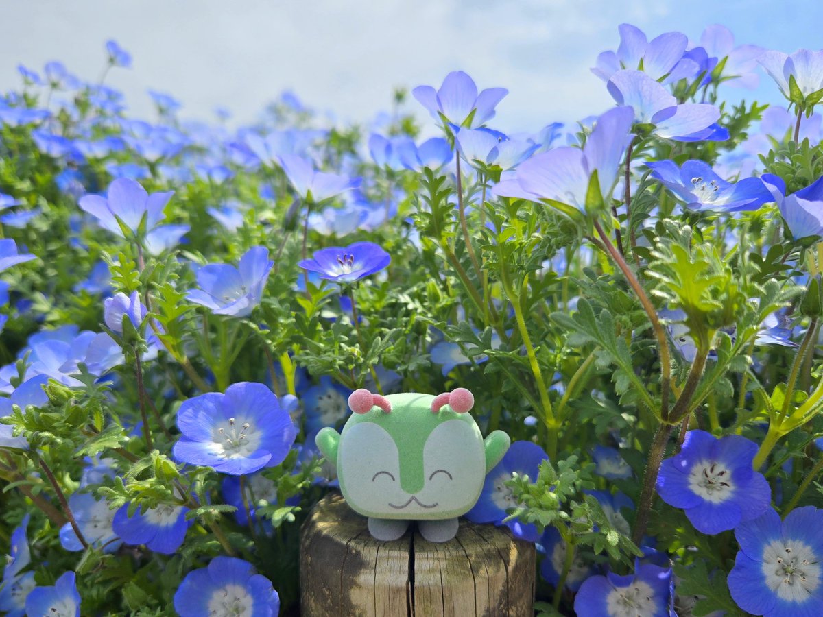 シンジ tweet media