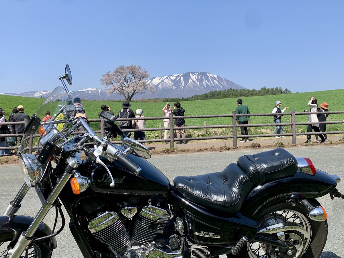 はぴたん tweet media