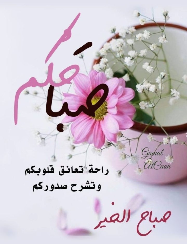 ام جود💗 tweet media