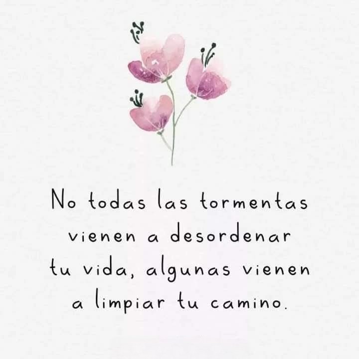 No todas las tormentas vienen a desordenar tu vida, algunas vienen a limpiar tu camino...🍂🍁🌾