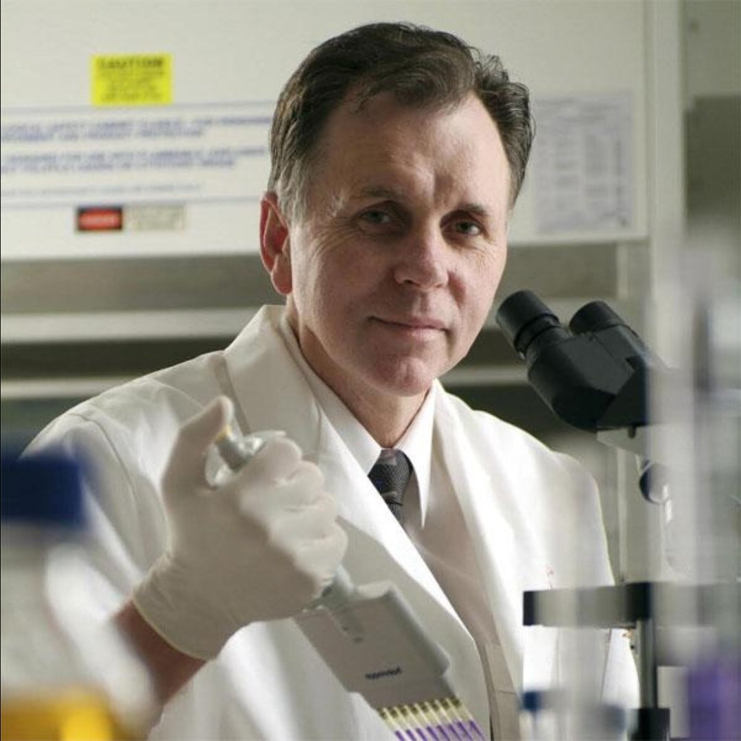 Synapse+ tweet media