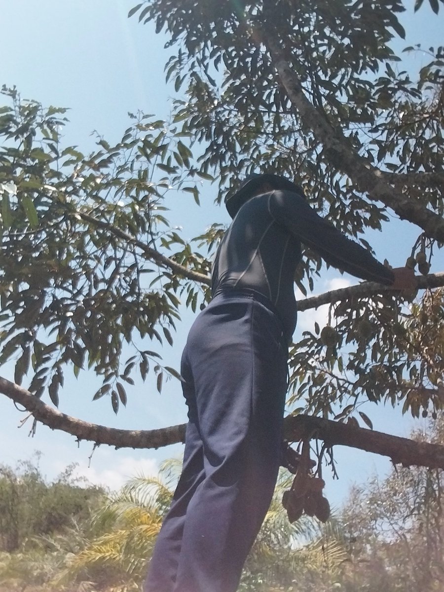 NOTAIZAI🇹🇭 tweet media