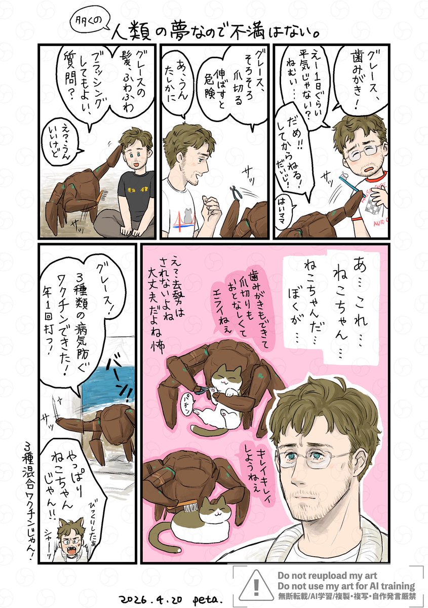 つるぺた🚀 tweet media