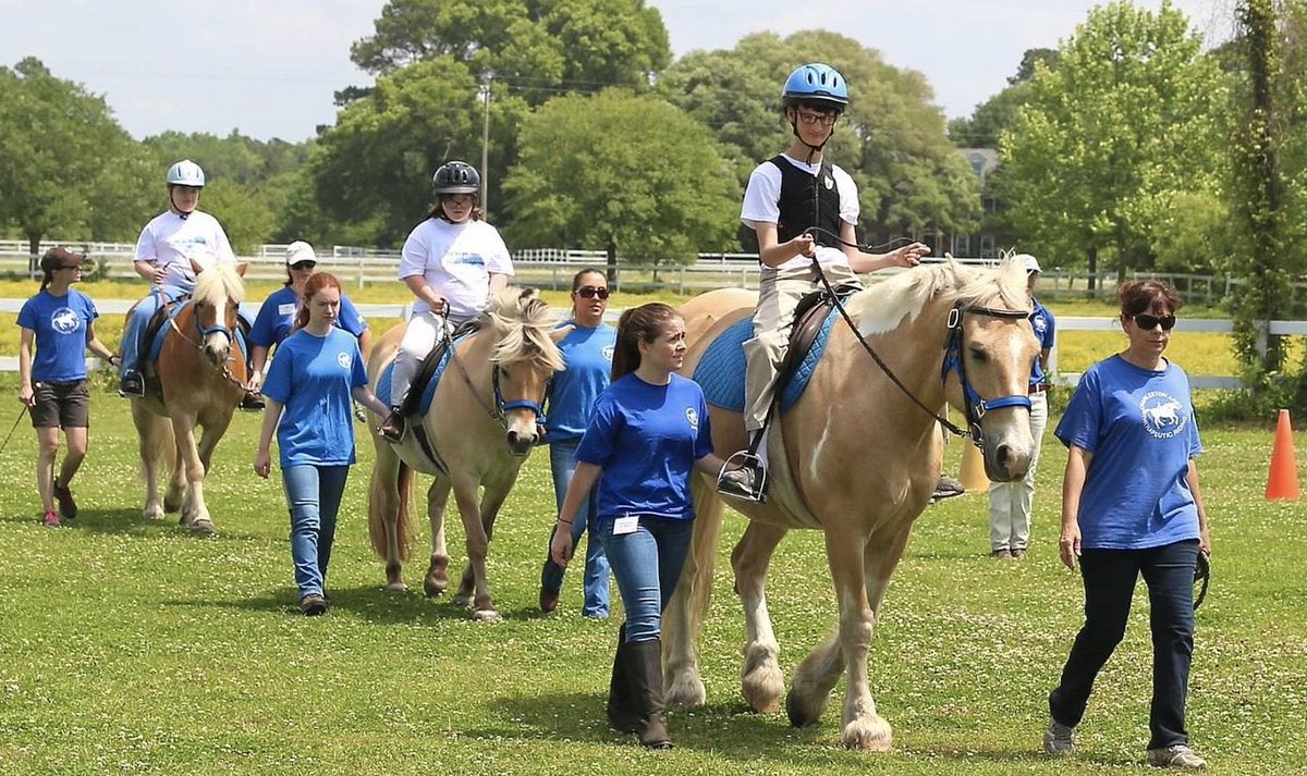 ChuckTownDaily's tweet image. Charleston Area Therapeutic Riding (Johns Island): Transforming Lives through empowerment and connection - Charleston Daily - bit.ly/3CD3cOt

#Therapy #HorseTherapy #JohnsIsland #CharlestonLocal #CharlestonDaily