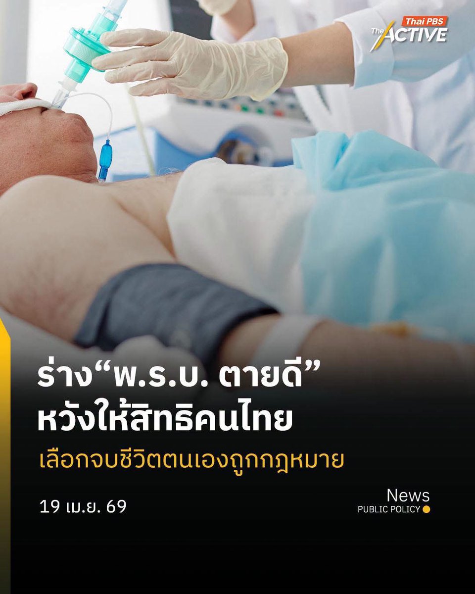 ช่างแม่ง🐰🏳️‍🌈 tweet media