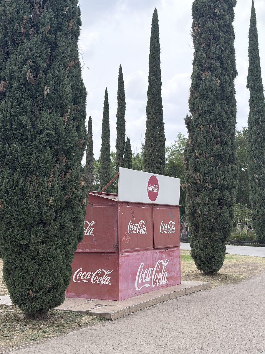 El crítico de léon tweet media