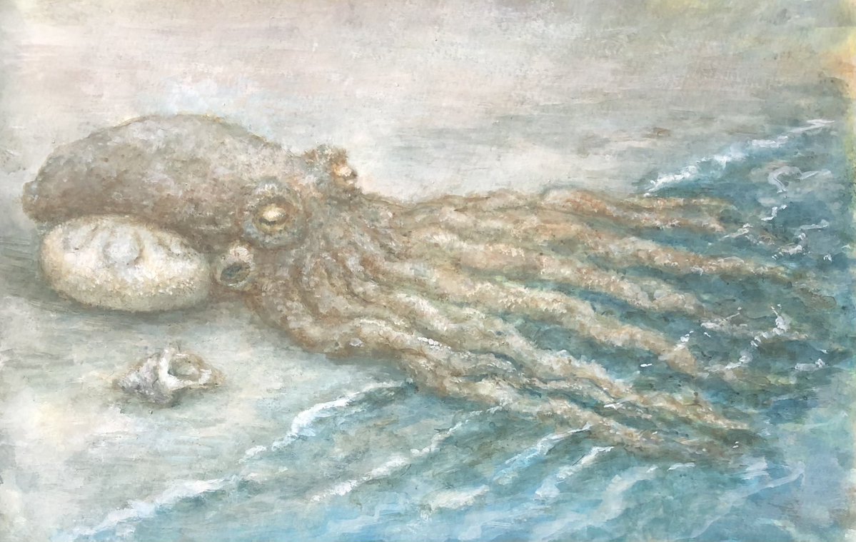 カイズケン(よたか堂）絵本「おこじょへのてがみ」 tweet media