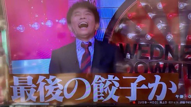 お化けぬこ tweet media