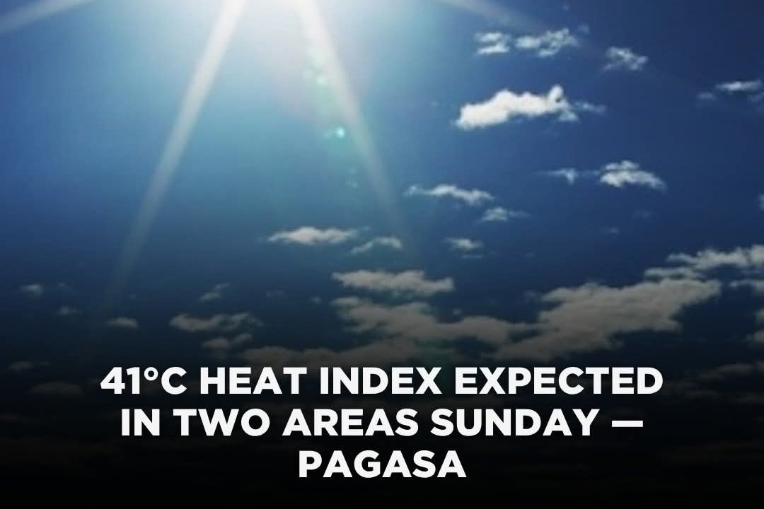 DBestMate😍 tweet media