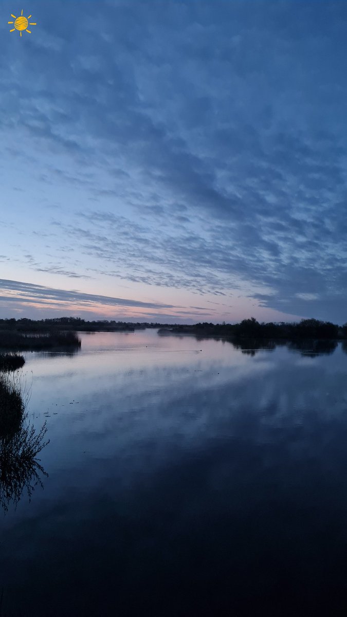 Margreeth0_0's tweet image. Het was koud vanmorgen. De rijp lag op het gras, mistflarden hingen over het water en de weg maar het was prachtig. De Fietsfoto wel even aanklikken🙂  @StormHour #naturephotographer #earlystart #woonwerkfietser #daybreak #newday