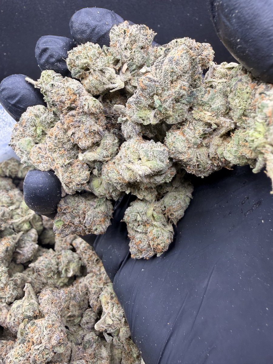 doobie_exotics's tweet photo. Zkittles uncut 🥦💯🏆 https://t.co/DlloqYi0aN