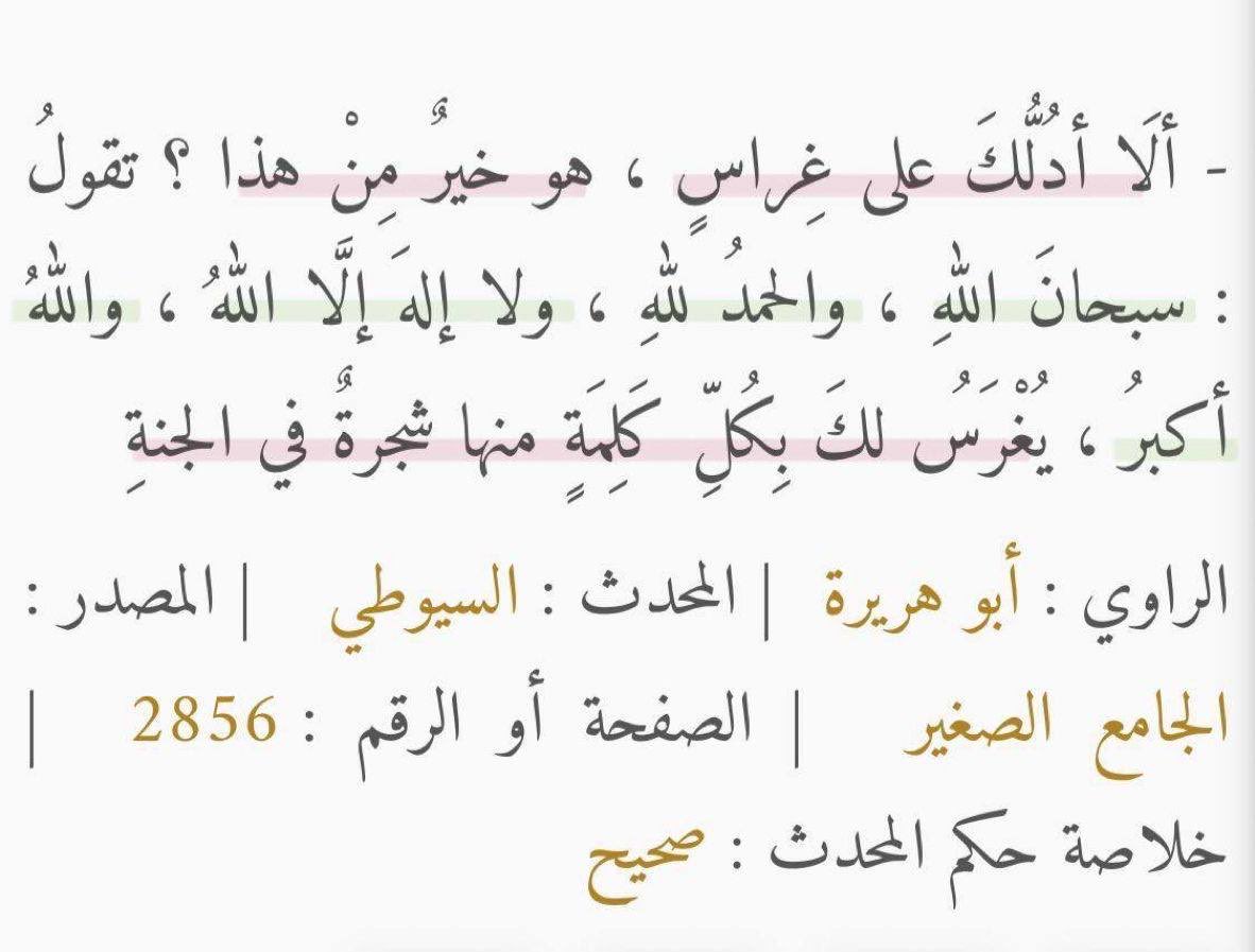 سُكون tweet media