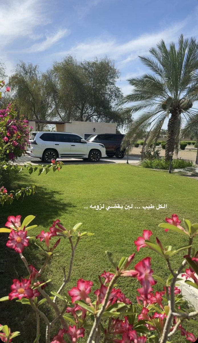 3O1___'s tweet photo. https://t.co/3cOlfAwUdu