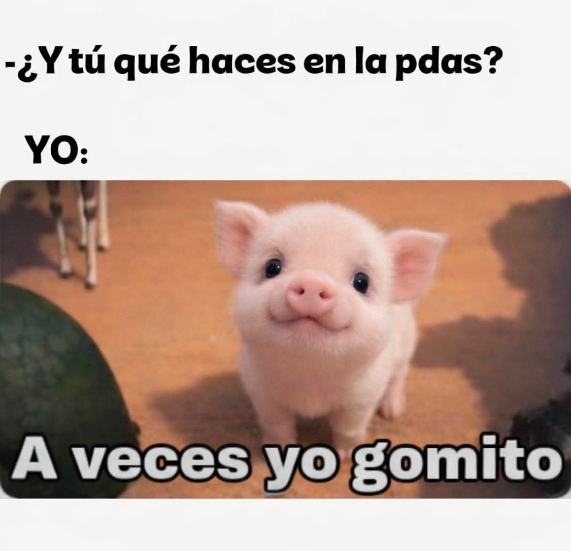 mlnoticiasmx's tweet image. En las partys 😵‍💫🤢 / #Memes #Humor #Meme