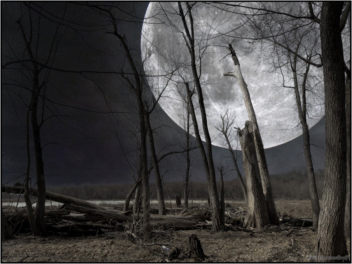 Siegfried Roy (@siegfriedr50459) on Twitter photo 