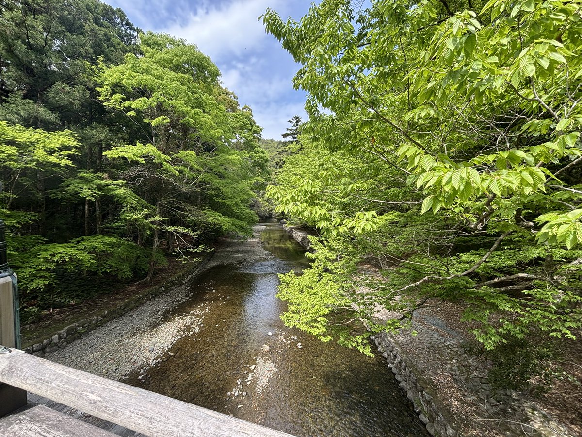 𝒎𝒐𝒏 tweet media