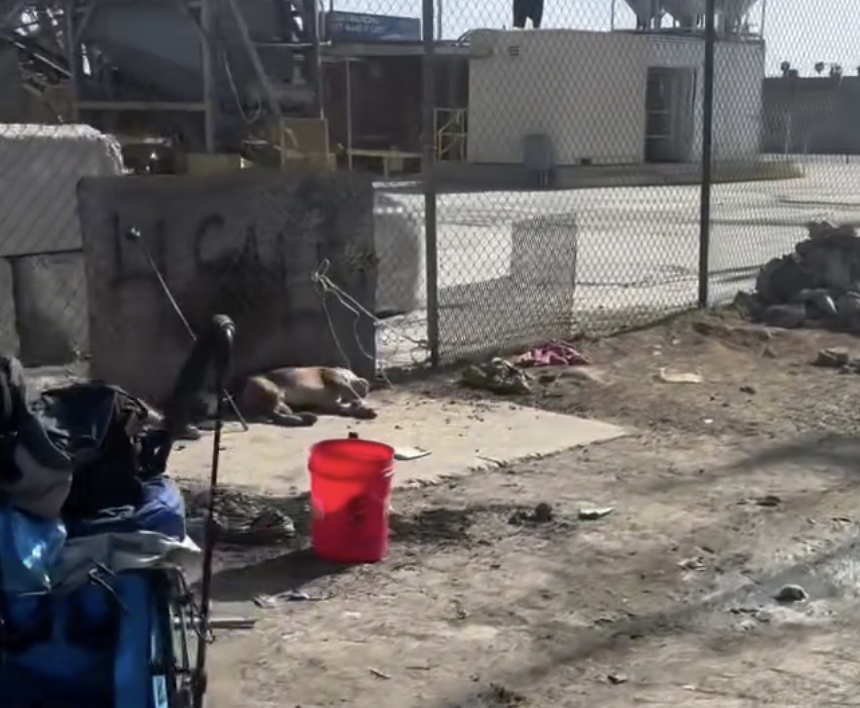 JoeyTuccio tweet media