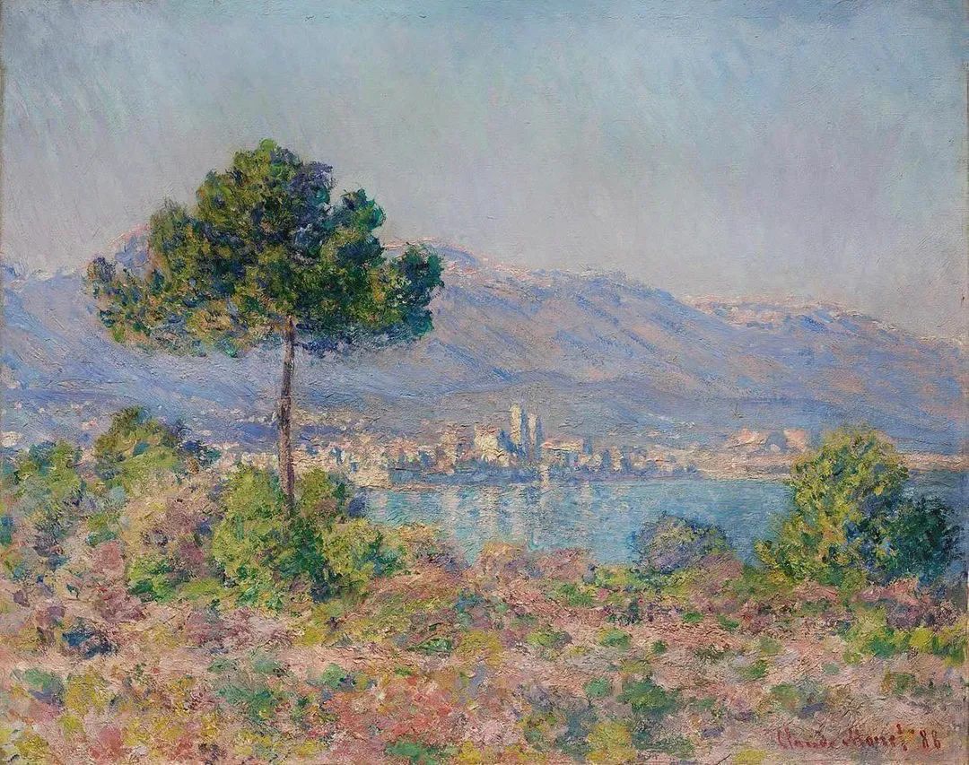 Gökçe Akbağ tweet media