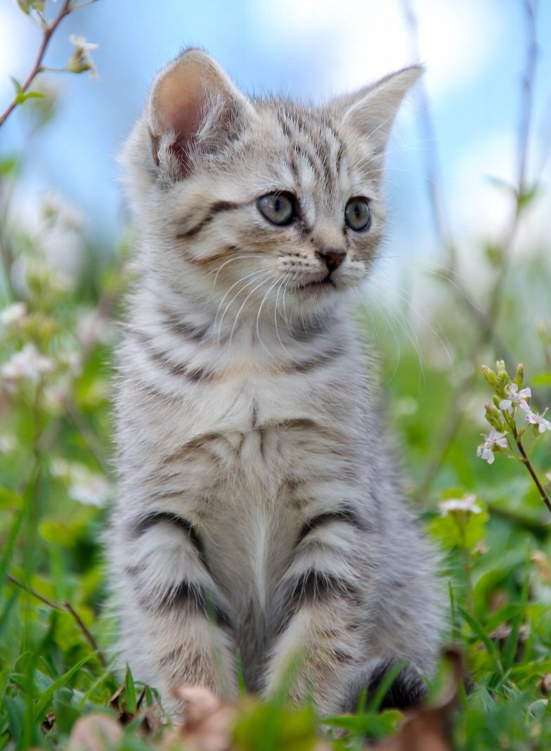 Davy_TNT's tweet image. Good morning everyone 😺
Monday is here 🤍 Wishing you a good and steady week ahead #MondayMotivation