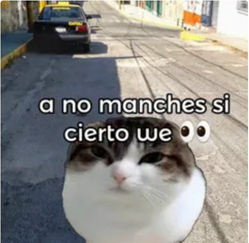 FernieArc tweet media