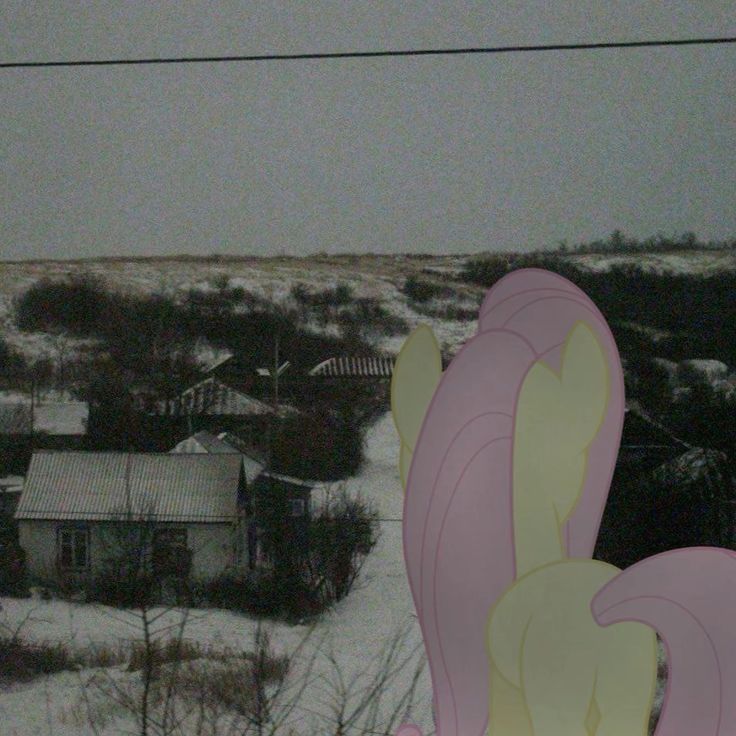 Flurry-Snow❄️ tweet media