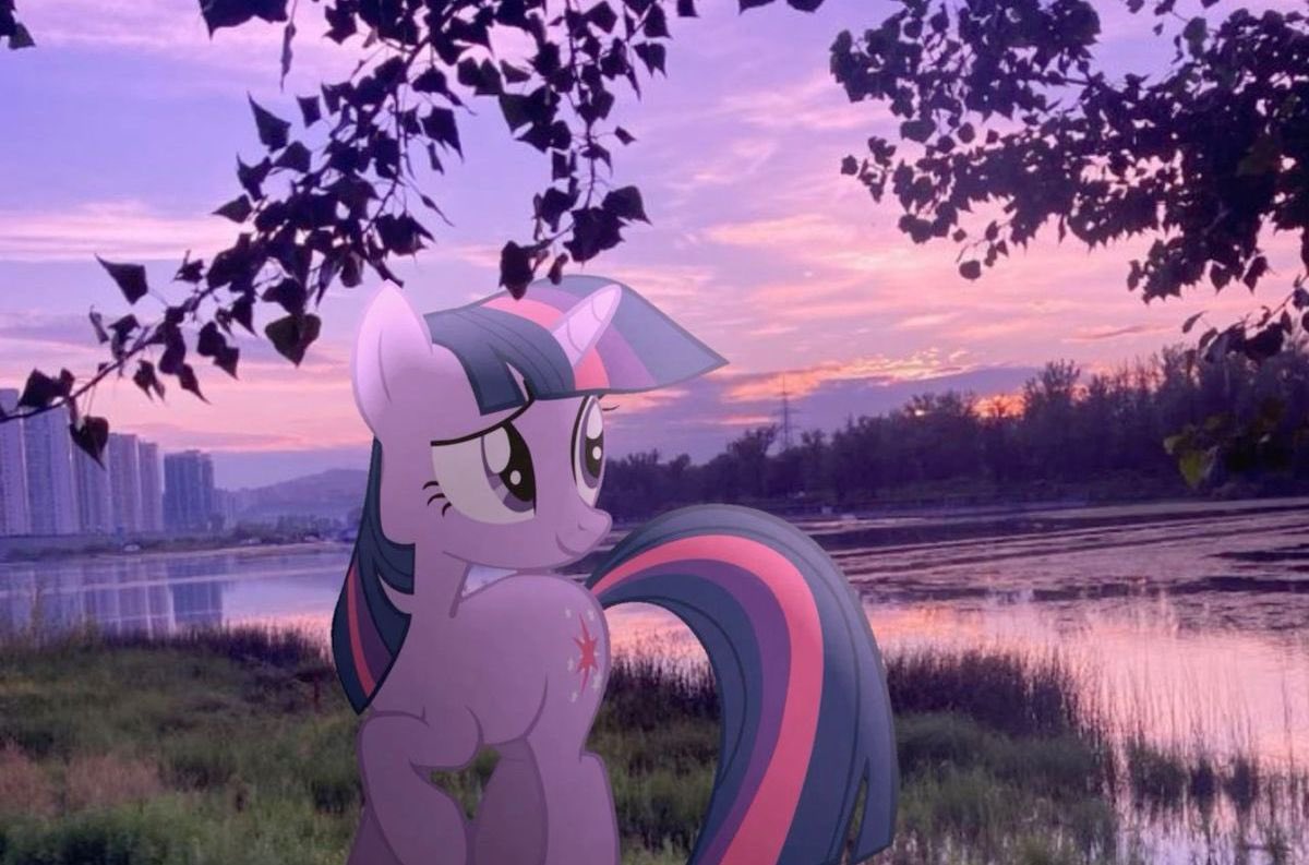 Flurry-Snow❄️ tweet media