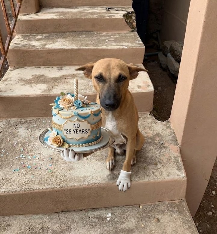 Dawood🇰🇪🇸🇦 tweet media