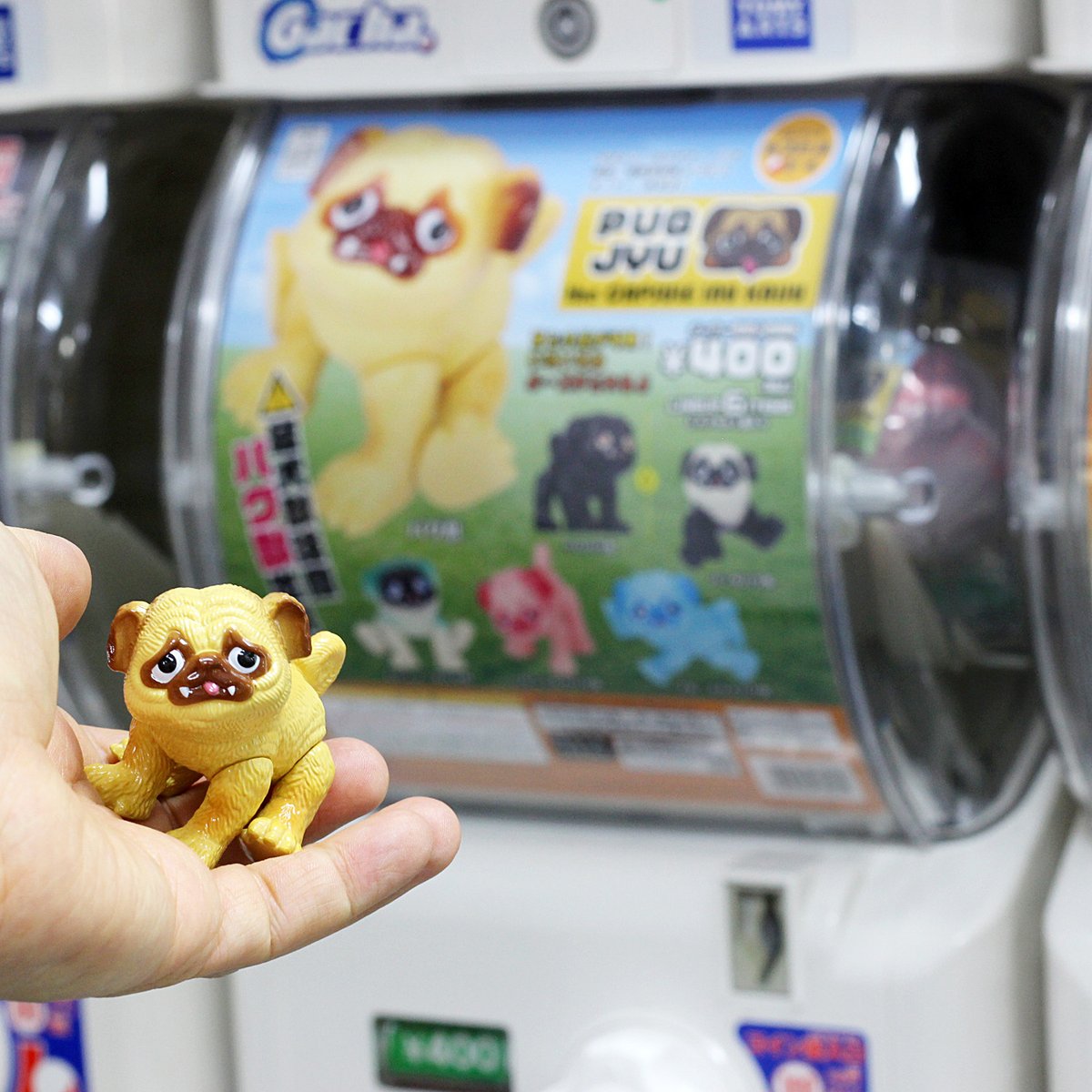 ベネリック製 カプセルトイ パグ獣 the CAPSULE INU KAIJU 全6種 1回
