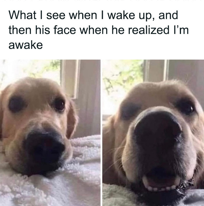 Eric Alper 🎧 (@thatericalper) on Twitter photo 