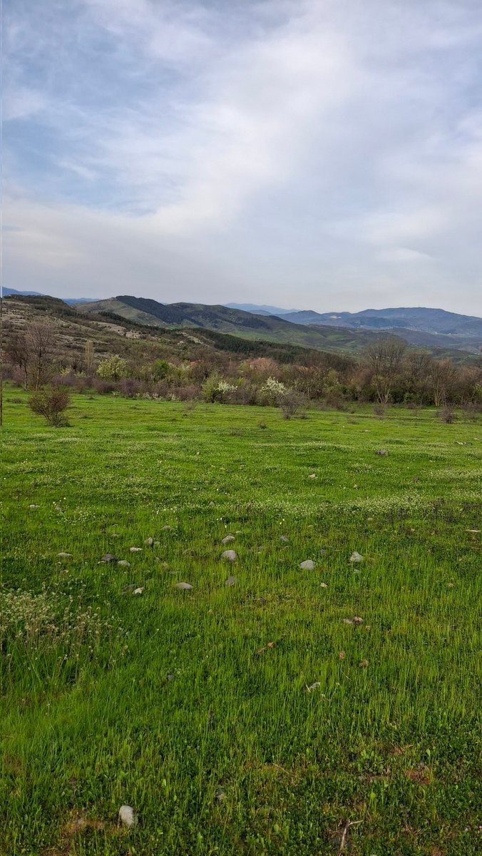 𝙽𝚎𝚌𝚍𝚒𝚢𝚎 𝙸𝚕𝚢𝚊𝚜 ༺ tweet media