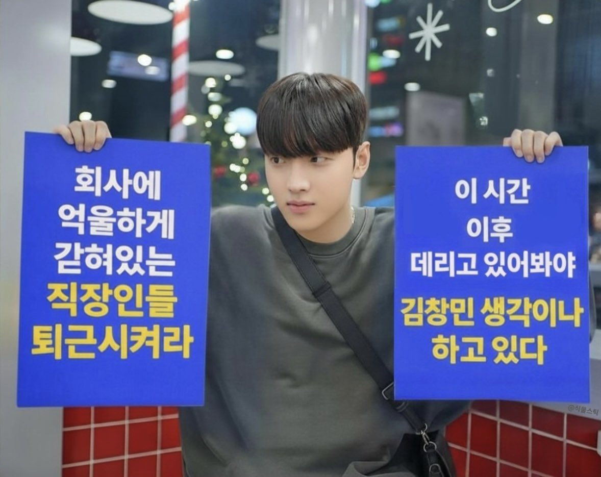 식물스틱 tweet media